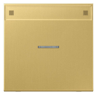 Jung ME2990NAKO5C Wippe Schriftfeld m.Lichtleiter LS Messing classic