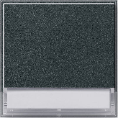 GIRA 067667 Wippe Beschriftungsfeld TX_44 WG UP Anthrazit