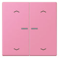 Jung LC102KO5P246 Wippe m.Lichtleiter u. Pfeilsymbolen