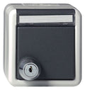 GIRA 456730 SCHUKO-Steckdose Klappdeckel Schloss sortiert+BSF WG AP IP44 Grau