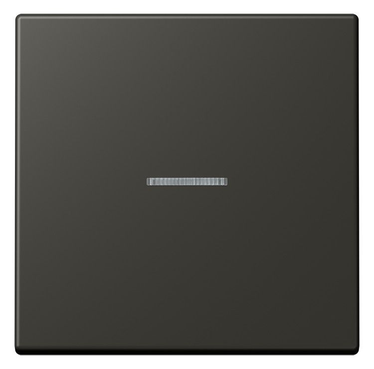 Jung LC101KO5259 Wippe m.Lichtleiter f.KNX Taster 1fa