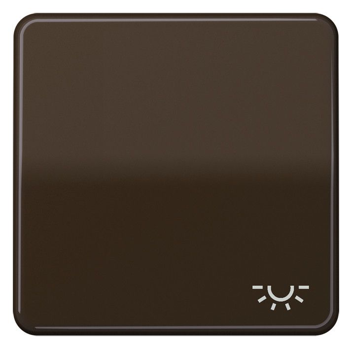 Jung CD 590 L BR Wippe Symbol Licht f.Wippschalter Tastschalter|Taster braun
