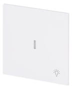 BJ 1789 LI-44G Wippe m.Symbol "Licht" m. transparenter Kalotte