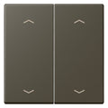 Jung LC102P241 Wippe m.Pfeilsymbolen f.KNX Taster 2