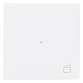 BJ 6233-10-44M Wippe 1-fach m.Symbol "Szene"