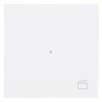 BJ 6233-10-44M Wippe 1-fach m.Symbol "Szene"