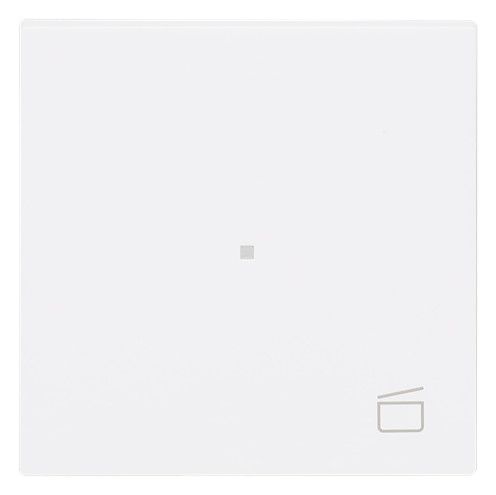 BJ 6233-10-44M Wippe 1-fach m.Symbol "Szene"