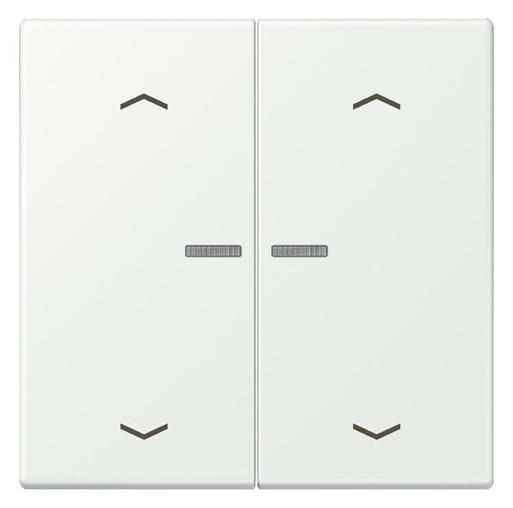 Jung LC102KO5P210 Wippe m.Lichtleiter u. Pfeilsymbolen