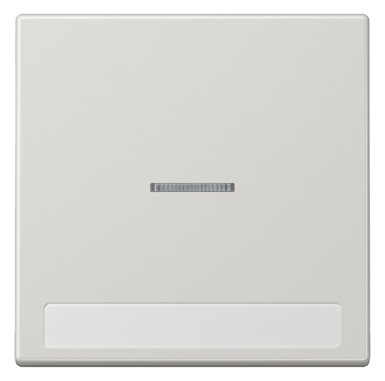 Jung LS990NAKO5LG Wippe Schriftfeld m.Lichtleiter lichtgrau