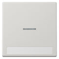Jung LS990NAKO5LG Wippe Schriftfeld m.Lichtleiter lichtgrau