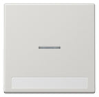 Jung LS990NAKO5LG Wippe Schriftfeld m.Lichtleiter lichtgrau