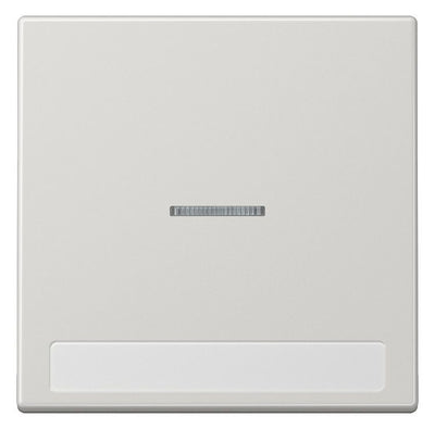 Jung LS990NAKO5LG Wippe Schriftfeld m.Lichtleiter lichtgrau