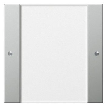 GIRA 2131600 Wippenset 1fach BSF System 55 Klar/Edelstahl