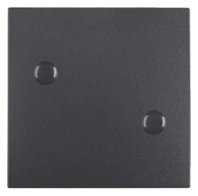 Berker 15701606 Wippe anschraubbar B.3/B.7 anthrazit matt