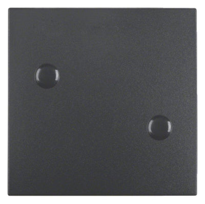 Berker 15701606 Wippe anschraubbar B.3/B.7 anthrazit matt
