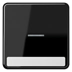 Jung CD590NAKO5SW Wippe Schriftfeld m.Lichtleiter schwarz