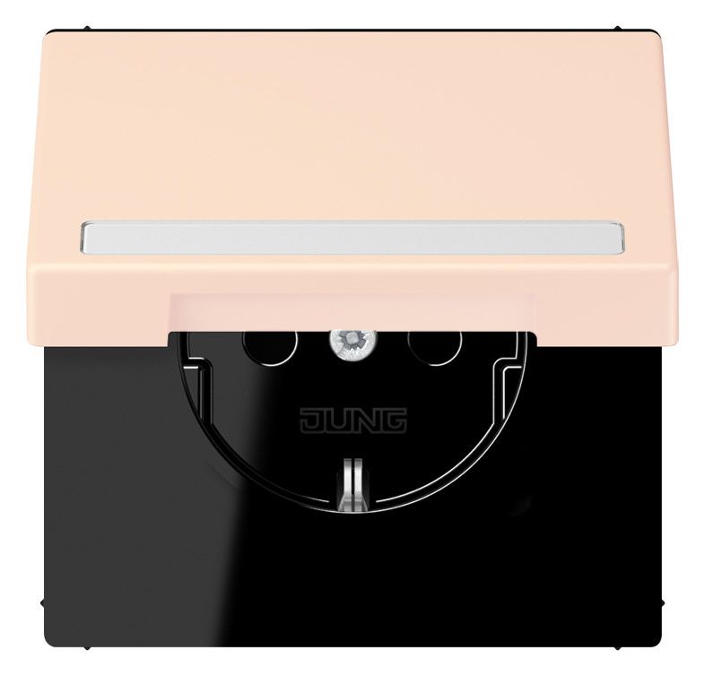 Jung LC1520BFNAKL226 SCHUKO-Steckd.KI m. Klappdeckel m.S