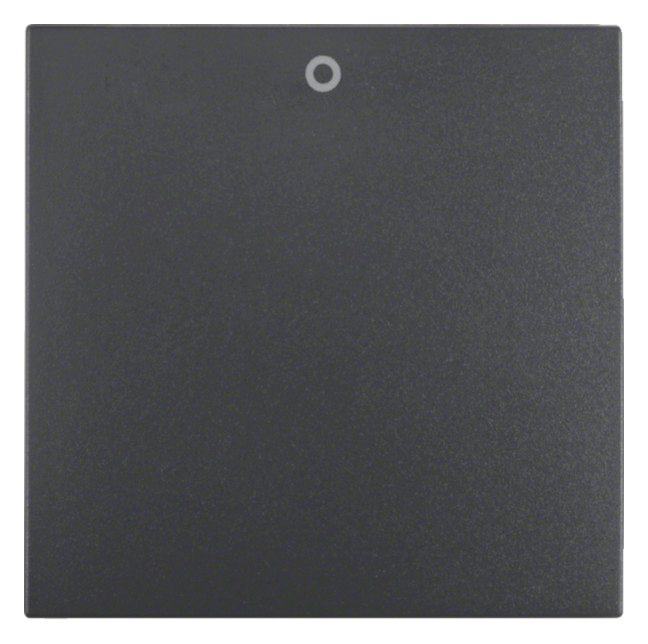 Berker 16221606 Wippe m.Aufdruck 0 B.3/B.7 anthrazit matt