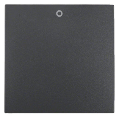 Berker 16221606 Wippe m.Aufdruck 0 B.3/B.7 anthrazit matt