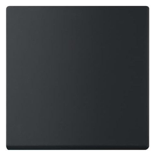 BJ 6735 BT-885 Wippe 1-fach f.Bedienelement Smart Switch