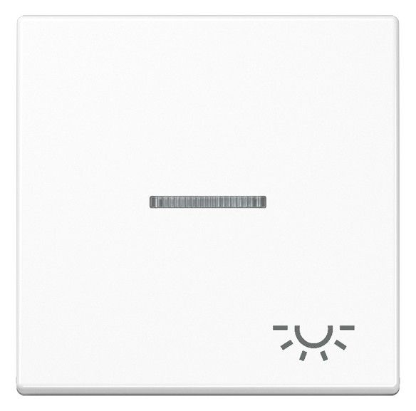 Jung A590KO5LWW Wippe Symbol Licht m.Lichtleiter Serie A alpinweiß