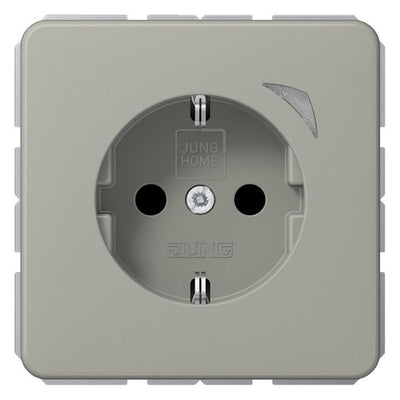 Jung BTCD1521SEPT JUNG HOME SCHUKO Steckdose Energy