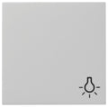 GIRA 0285015 Wippe Symbol Licht System 55 Grau matt (lackiert)