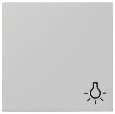 GIRA 0285015 Wippe Symbol Licht System 55 Grau matt (lackiert)