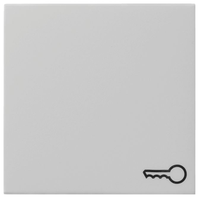 GIRA 0287015 Wippe Symbol Tür System 55 Grau matt (lackiert)