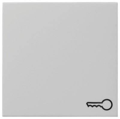 GIRA 0287015 Wippe Symbol Tür System 55 Grau matt (lackiert)
