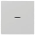 GIRA 0290015 Wippe Kontrollfenster System 55 Grau matt (lackiert)
