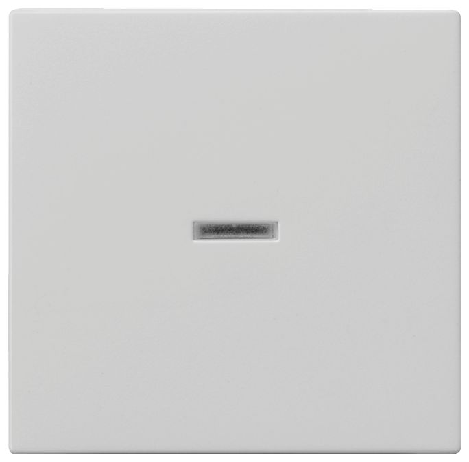 GIRA 0290015 Wippe Kontrollfenster System 55 Grau matt (lackiert)