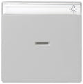 GIRA 0670015 Wippe Kontrollfenster+BSF System 55 Grau matt (lackiert)