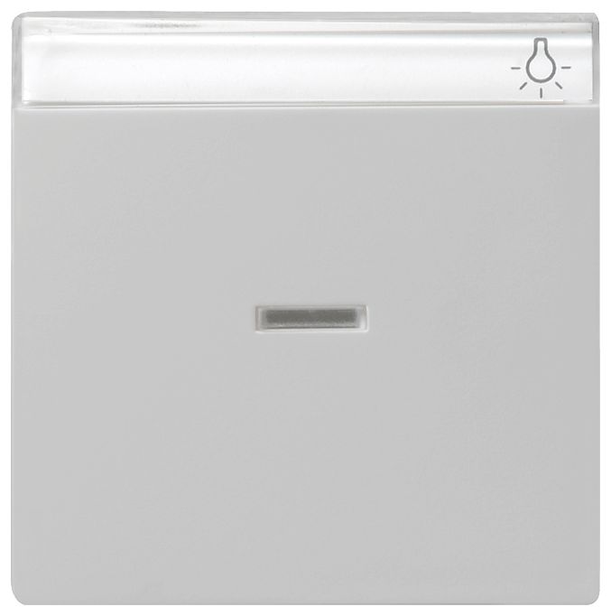 GIRA 0670015 Wippe Kontrollfenster+BSF System 55 Grau matt (lackiert)