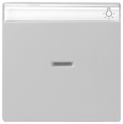 GIRA 0670015 Wippe Kontrollfenster+BSF System 55 Grau matt (lackiert)