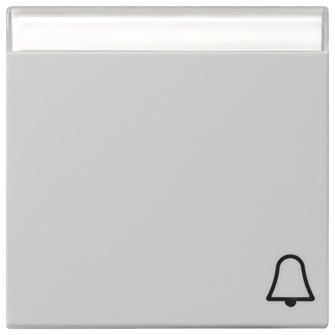 GIRA 0673015 Wippe Symbol Klingel+BSF System 55 Grau matt (lackiert)