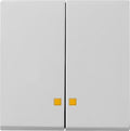 GIRA 0631015 Wippe 2fach Kontrollfenster System 55 Grau matt (lackiert)
