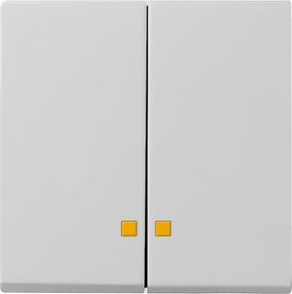 GIRA 0631015 Wippe 2fach Kontrollfenster System 55 Grau matt (lackiert)