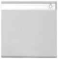 GIRA 0299015 Wippe Beschriftungsfeld System 55 Grau matt (lackiert)