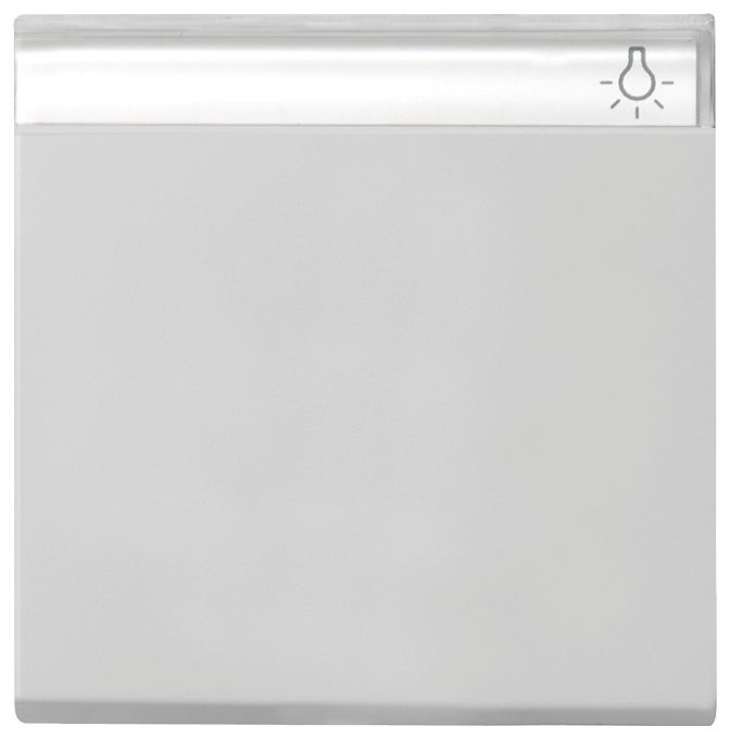 GIRA 0299015 Wippe Beschriftungsfeld System 55 Grau matt (lackiert)