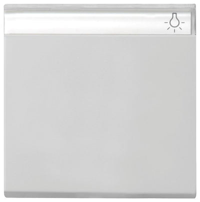 GIRA 0299015 Wippe Beschriftungsfeld System 55 Grau matt (lackiert)