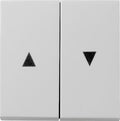 GIRA 0294015 Wippe 2fach Pfeil System 55 Grau matt (lackiert)