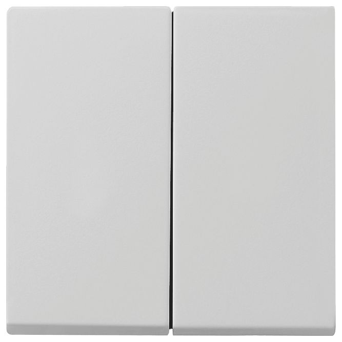 GIRA 0266015 Wippe 2fach+Set IP44 Standard 55,E2 Grau matt (lackiert)