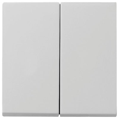 GIRA 0266015 Wippe 2fach+Set IP44 Standard 55,E2 Grau matt (lackiert)