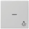 GIRA 0674015 Wippe Kontrollfenster+Symb. Licht System 55 Grau matt (lackiert)