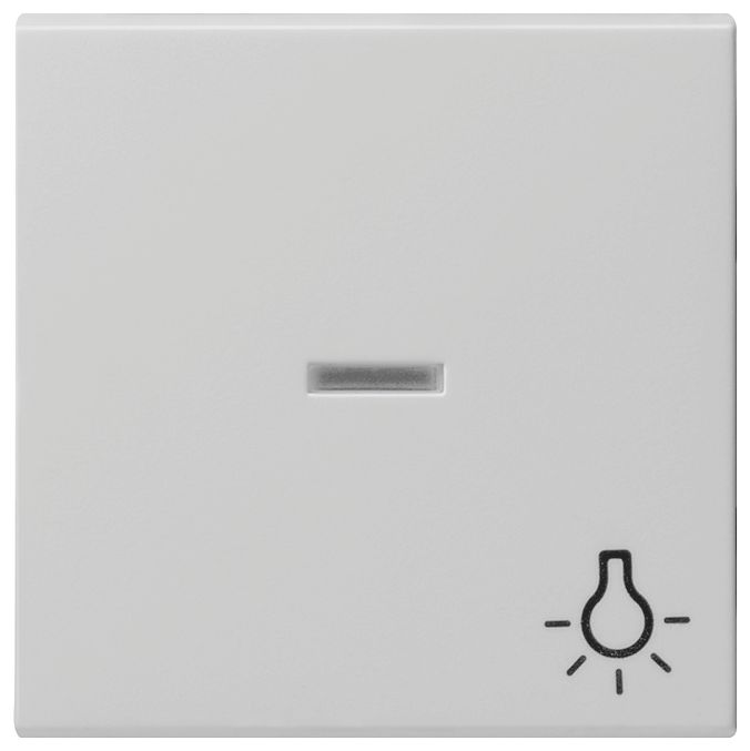 GIRA 0674015 Wippe Kontrollfenster+Symb. Licht System 55 Grau matt (lackiert)