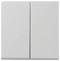 GIRA 0295015 Wippe 2fach System 55 Grau matt (lackiert)