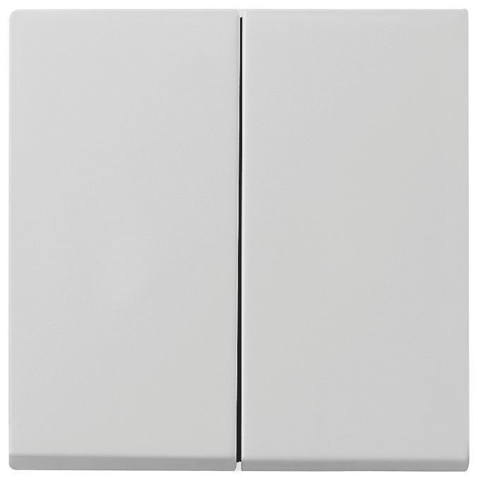 GIRA 0295015 Wippe 2fach System 55 Grau matt (lackiert)
