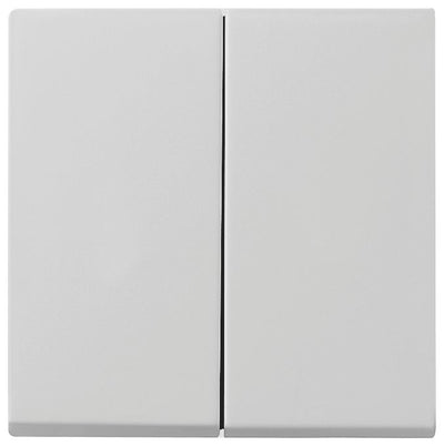 GIRA 0295015 Wippe 2fach System 55 Grau matt (lackiert)