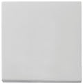 GIRA 0296015 Wippe System 55 Grau matt (lackiert)
